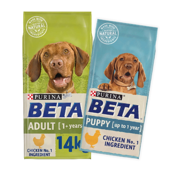 Pet Store Dog friendly store for pet food and more